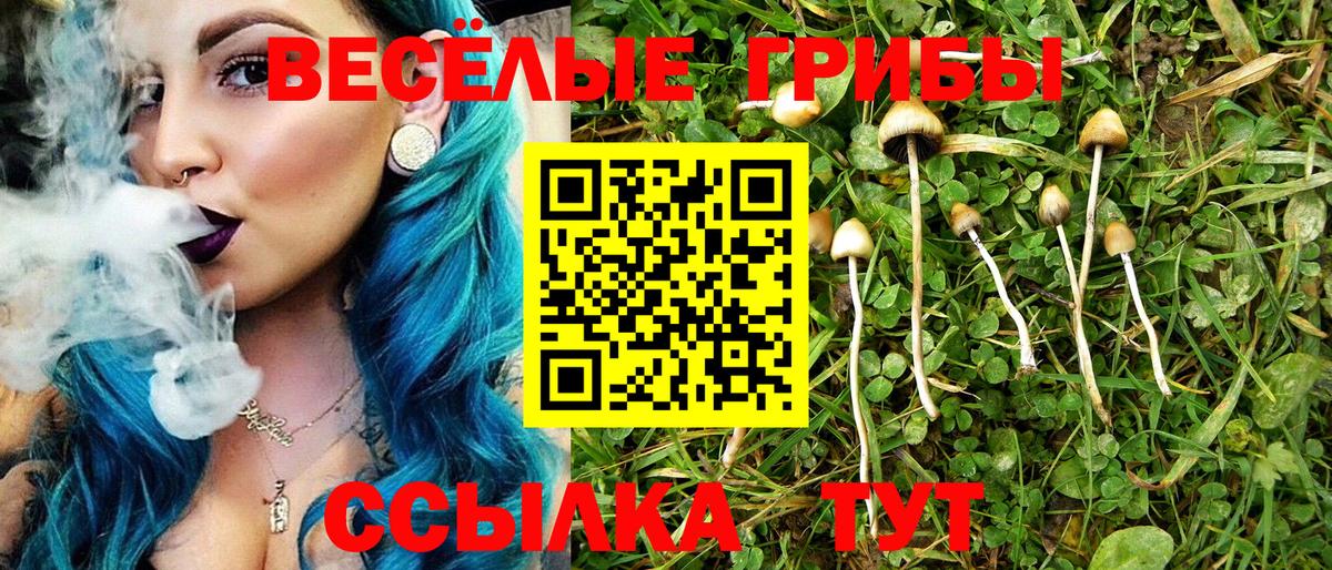 Псилоцибиновые грибы мицелий Ивантеевка