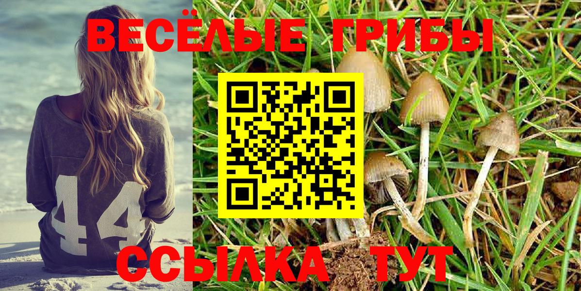 Псилоцибиновые грибы Magic Shrooms  Вход с VPN  Псилоцибиновые грибы Magic Shrooms  Ивантеевка 